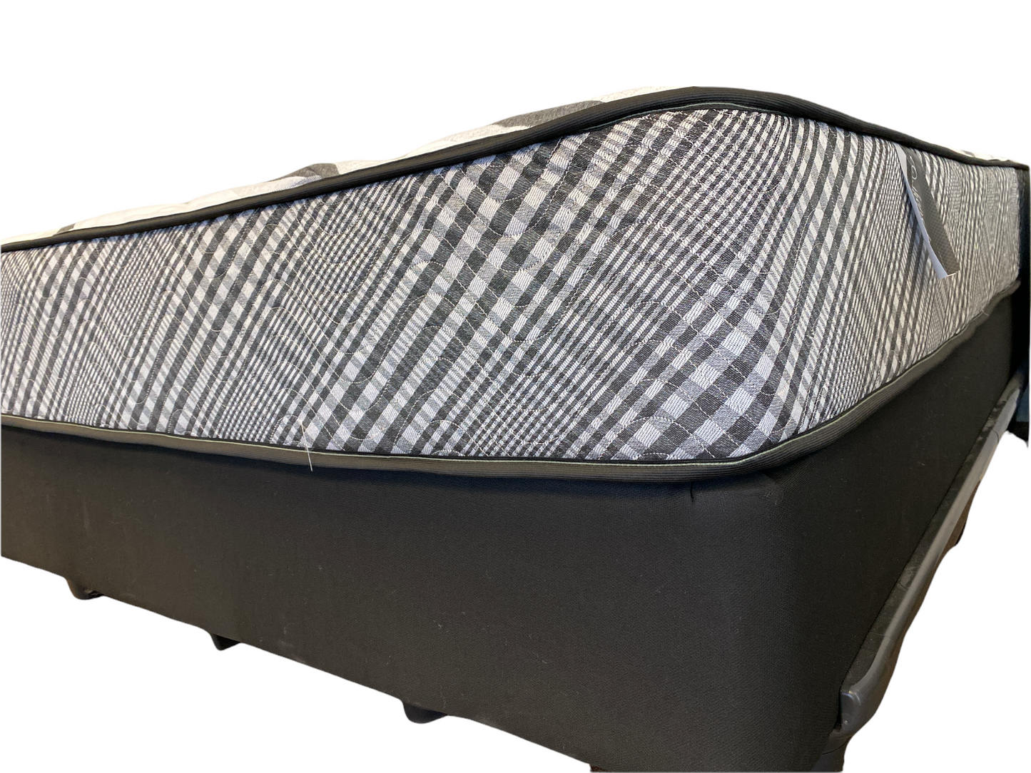 Orthopedic V - PLUSH